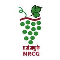 NRCG Recruitment 2023